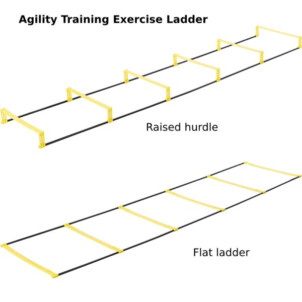 agility training exercise ladder